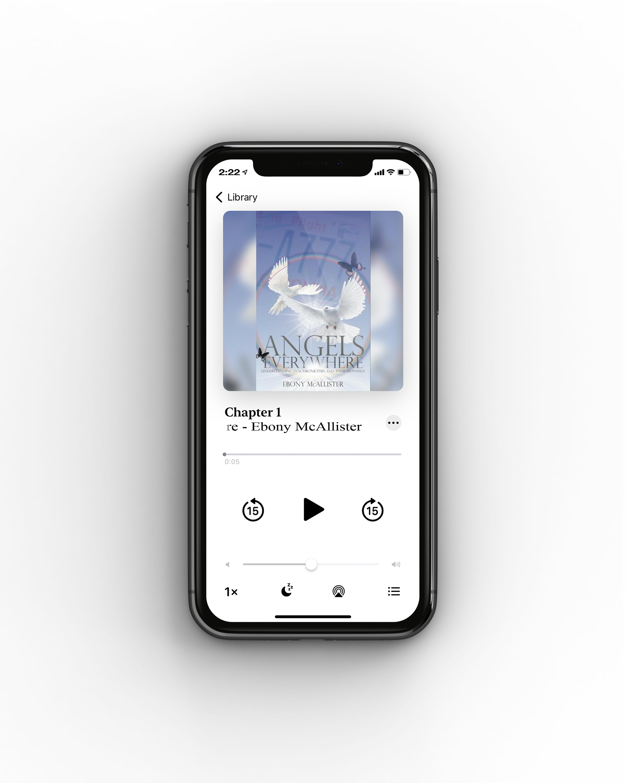 Angels Everywhere Audiobook