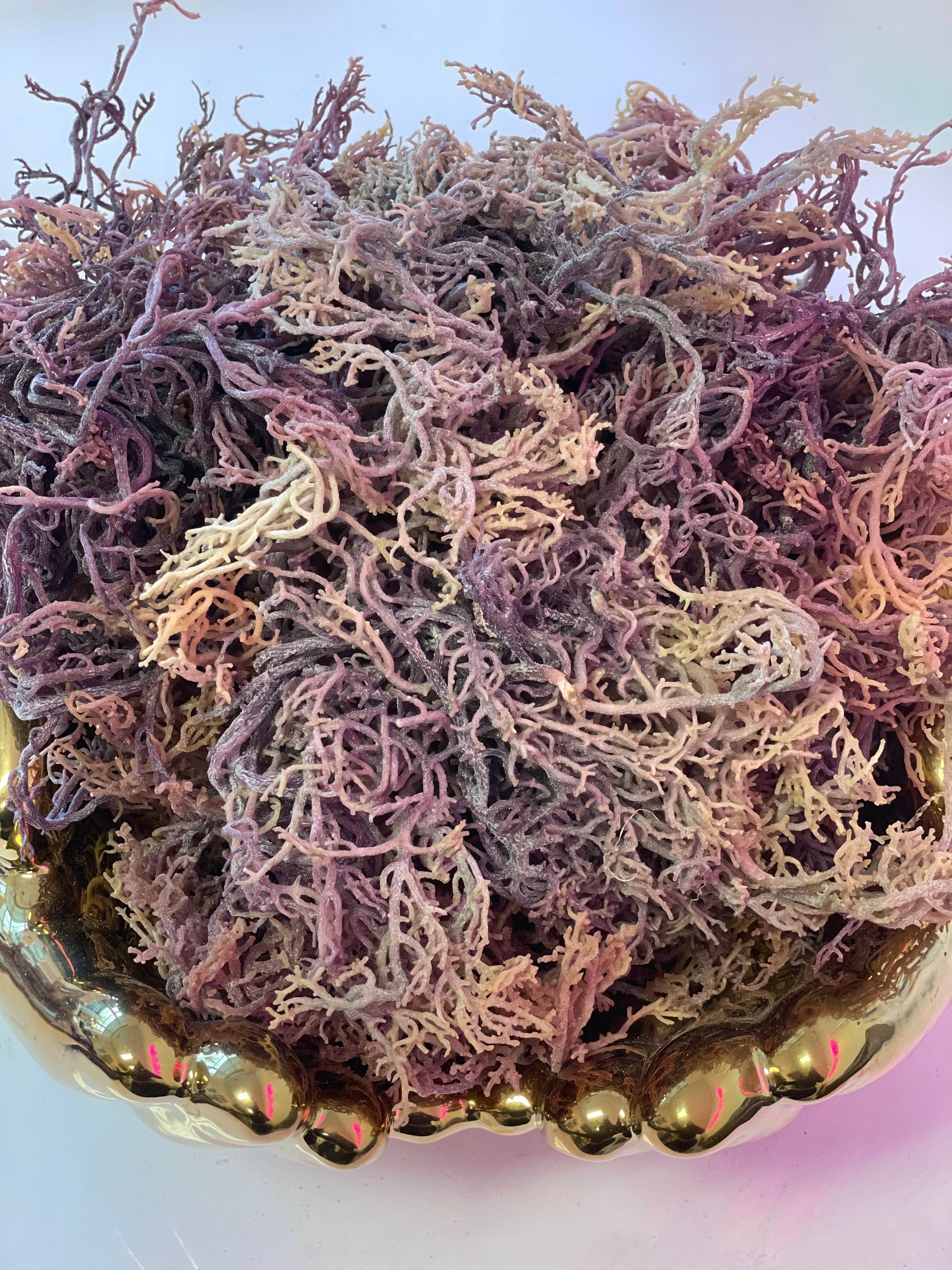 4 oz. Purple Sea Moss